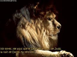 Hoja De Sanidad Imagenes Leon De La Tribu De Juda