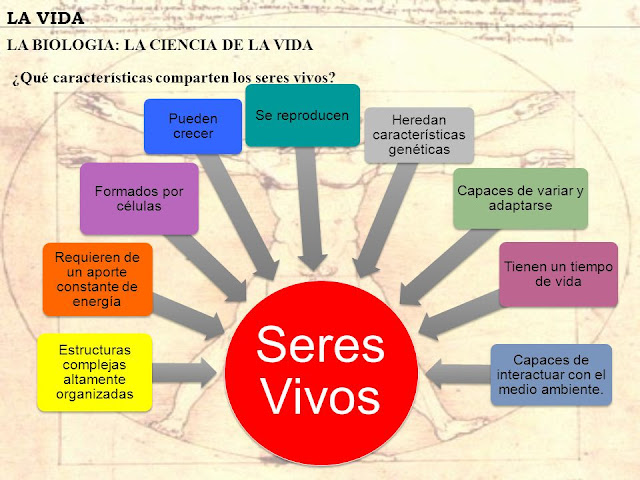 Ciencias 1: Características de los seres vivos