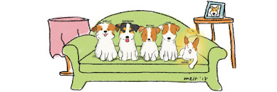 Sam, Pecan, Pippin, Shelly and Sherman - Dog blog Singapore