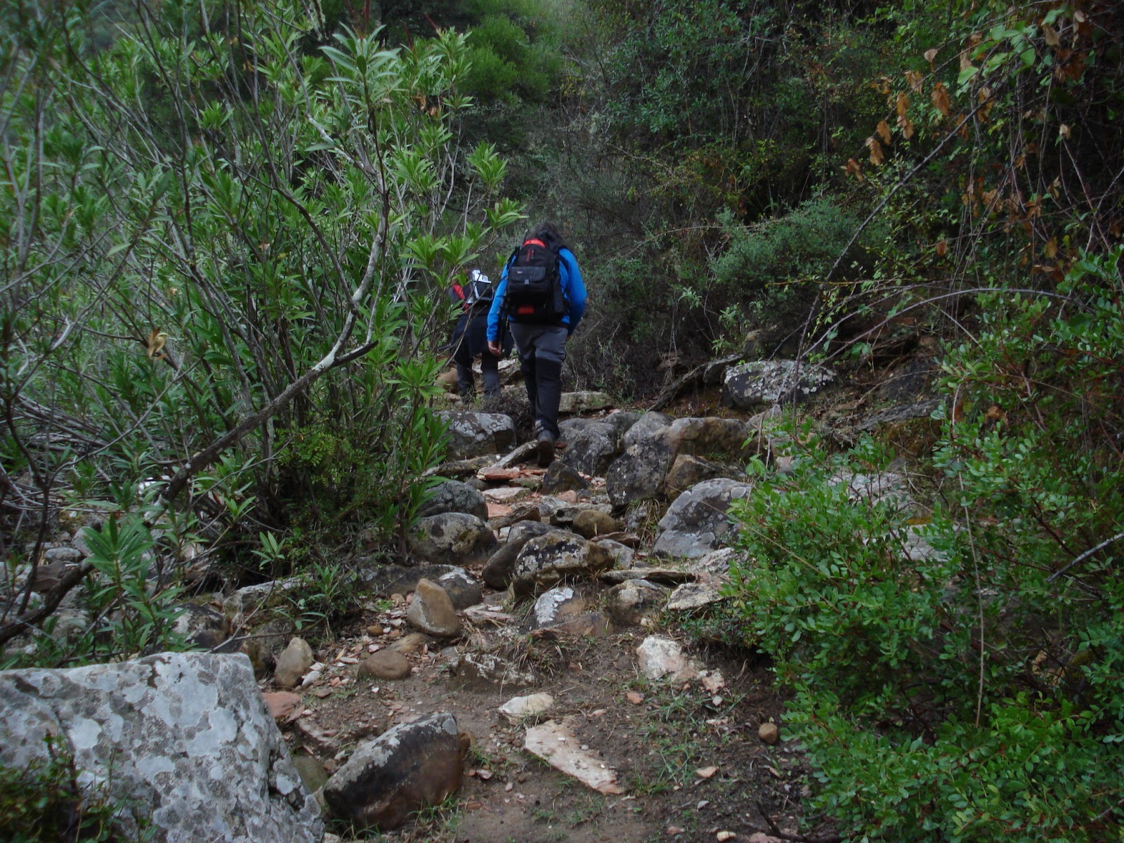 enruta2 Cueva de La Motilla