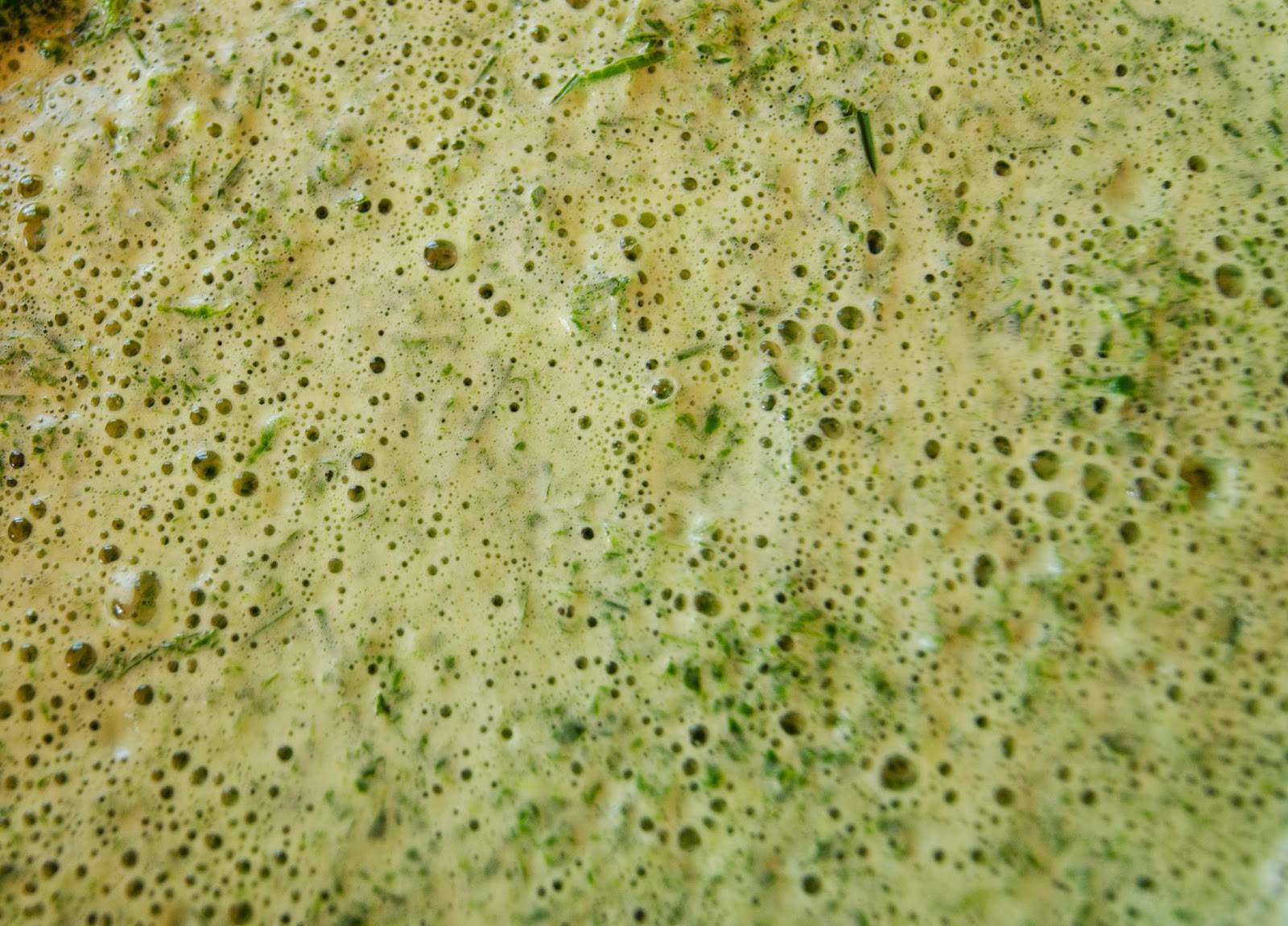 Homesteading in Stilettos Liquid Chlorophyll how to make your own