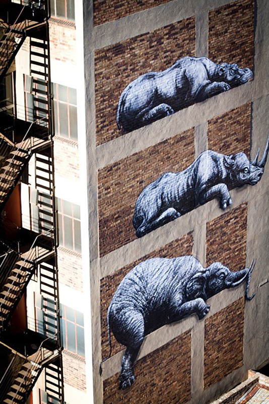 ROA New Mural In Johannesburg, South Africa StreetArtNews
