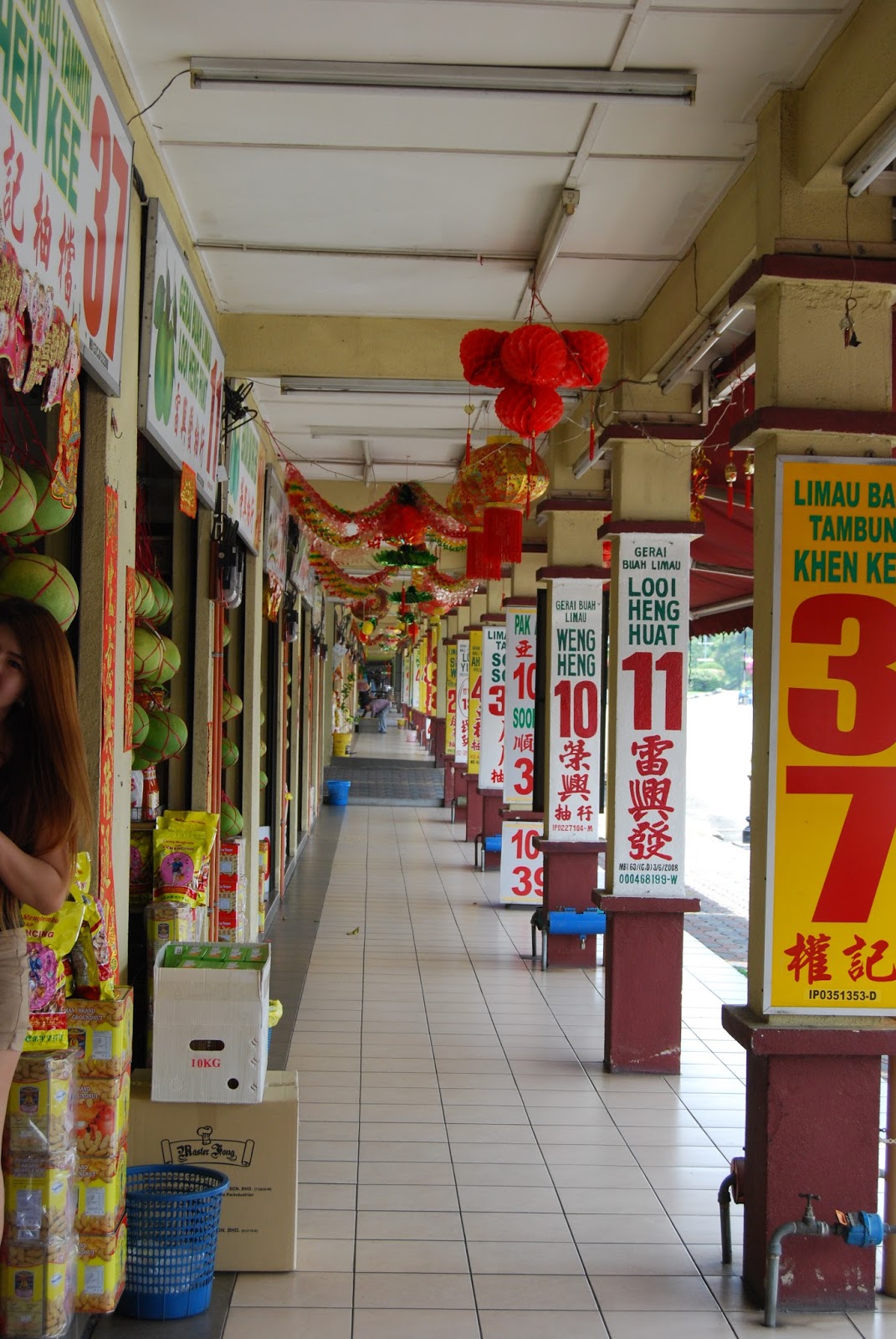 Ersatz Expat Pomelos Ipoh's Famous Fruit