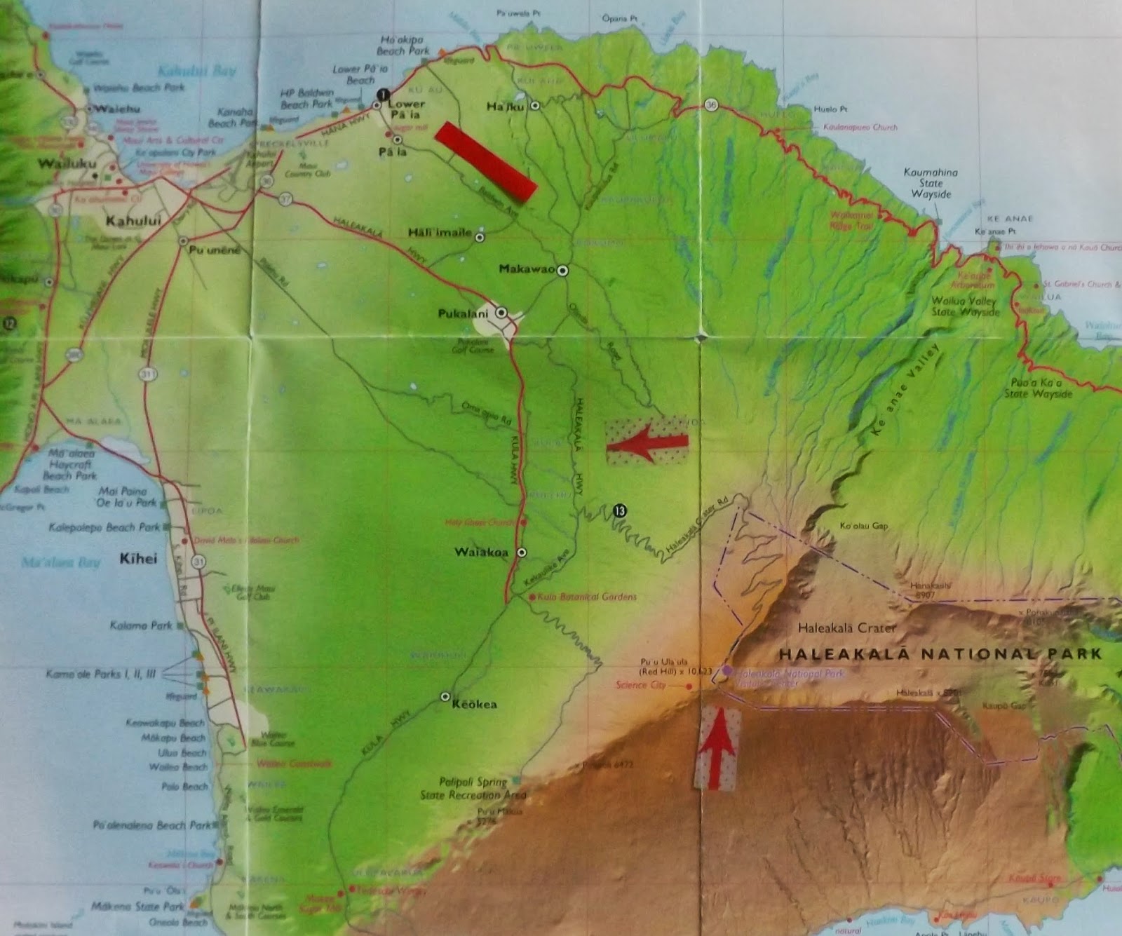 Donnelly Oceantics: MORE MAUI MADNESS