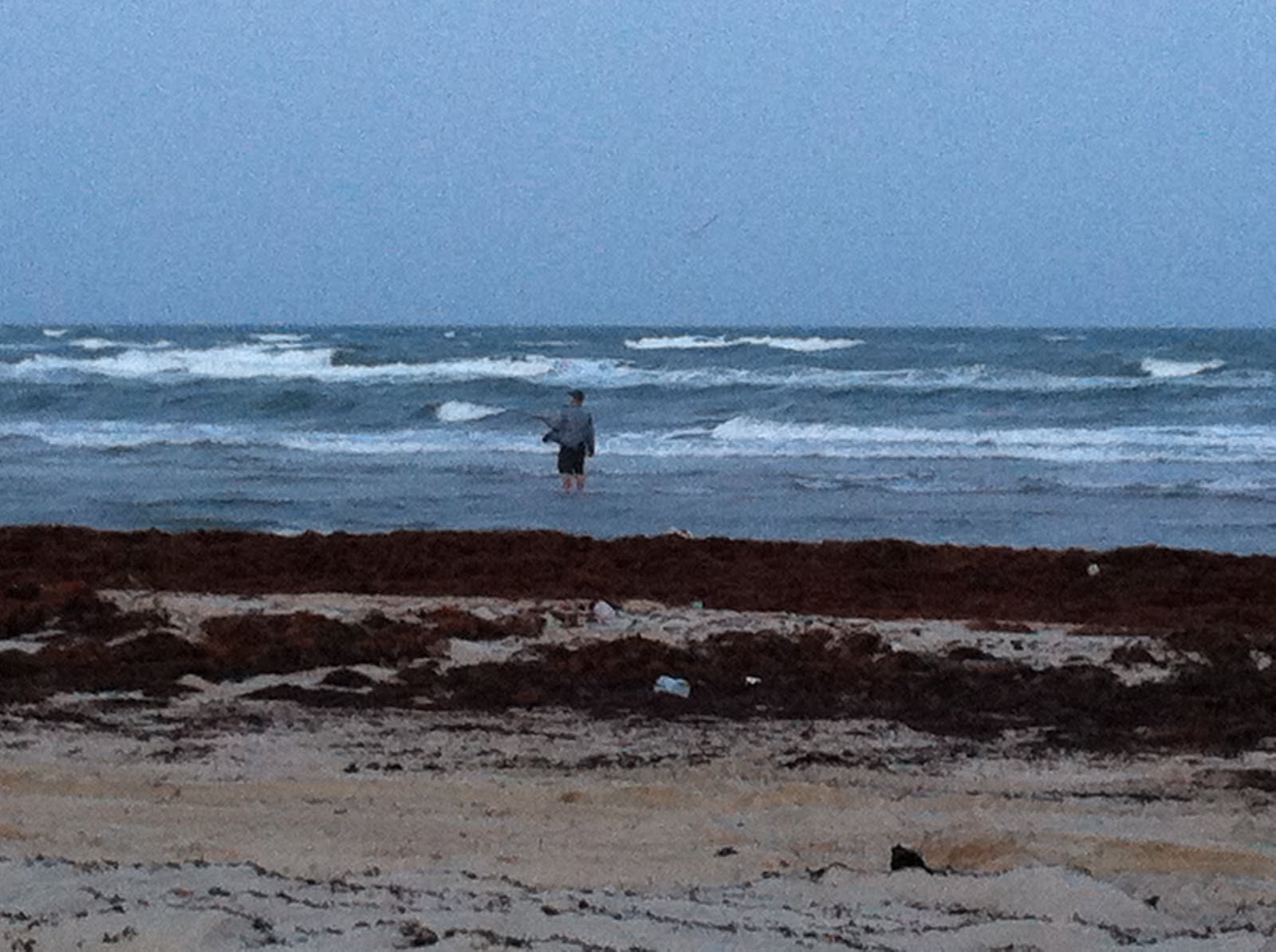 Peekaboo! 24 Hours at Padre Island National Seashore!