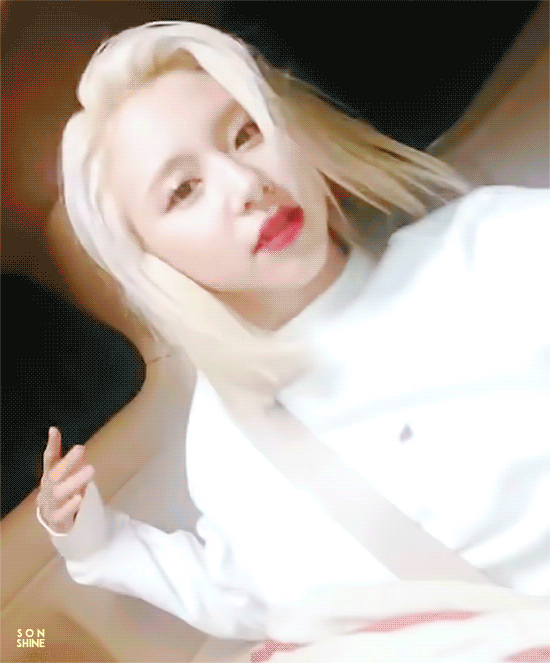 트와이스 V앱 사나 다현 채영