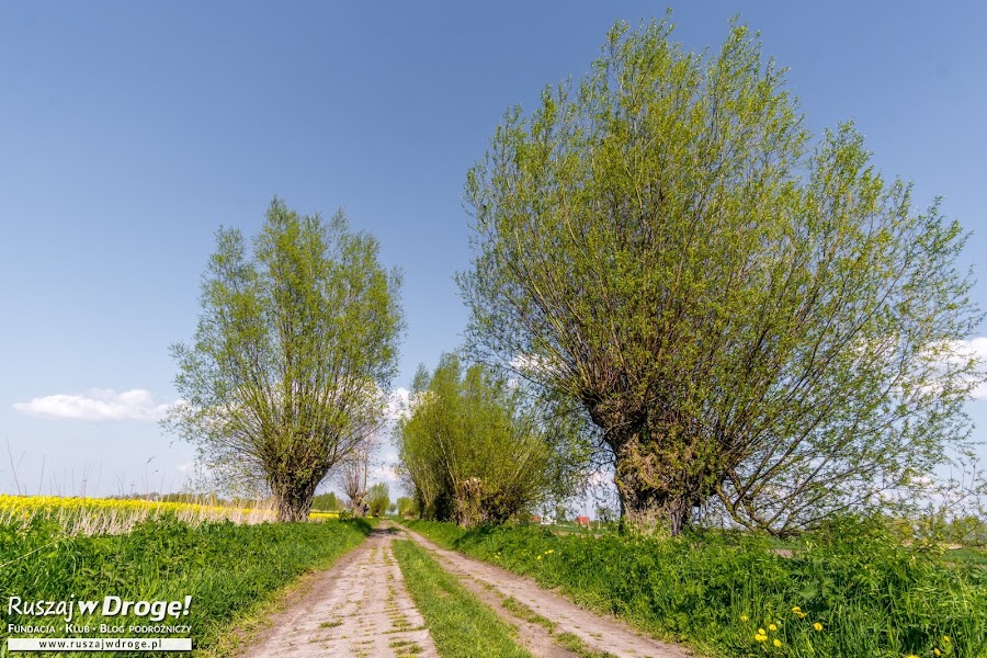 Żuławy - za takie klimaty je uwielbiamy