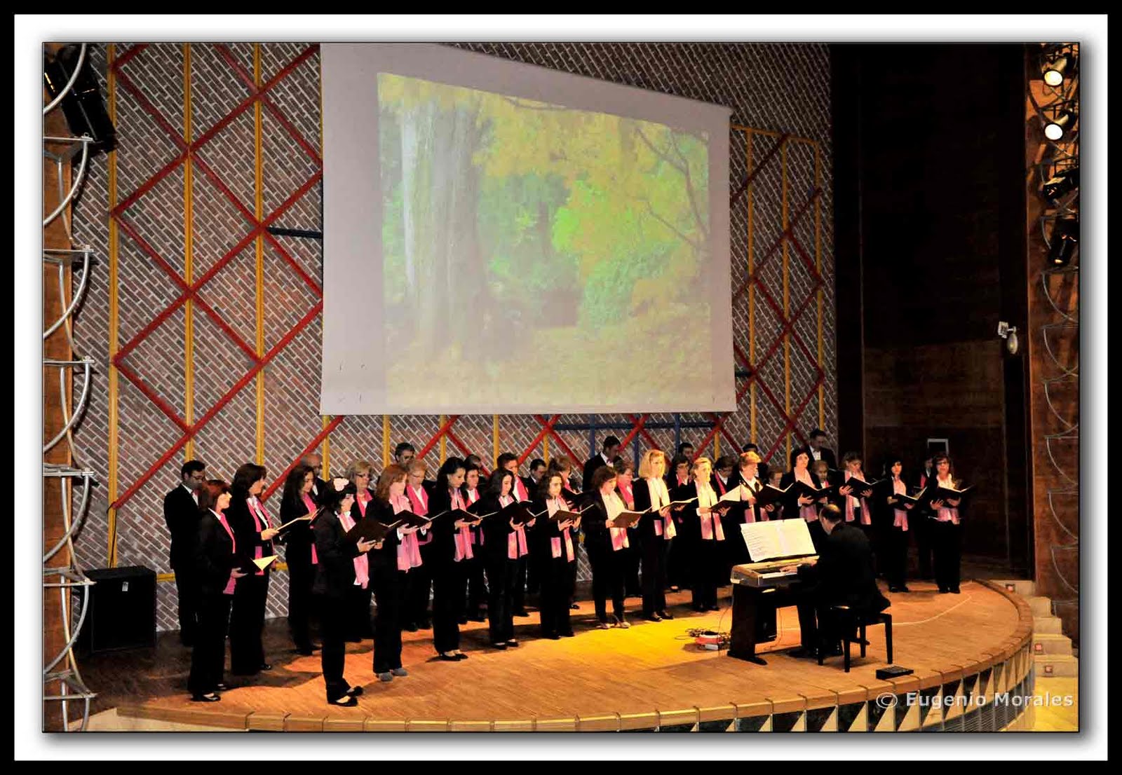 What Stores Offer Layaway Online