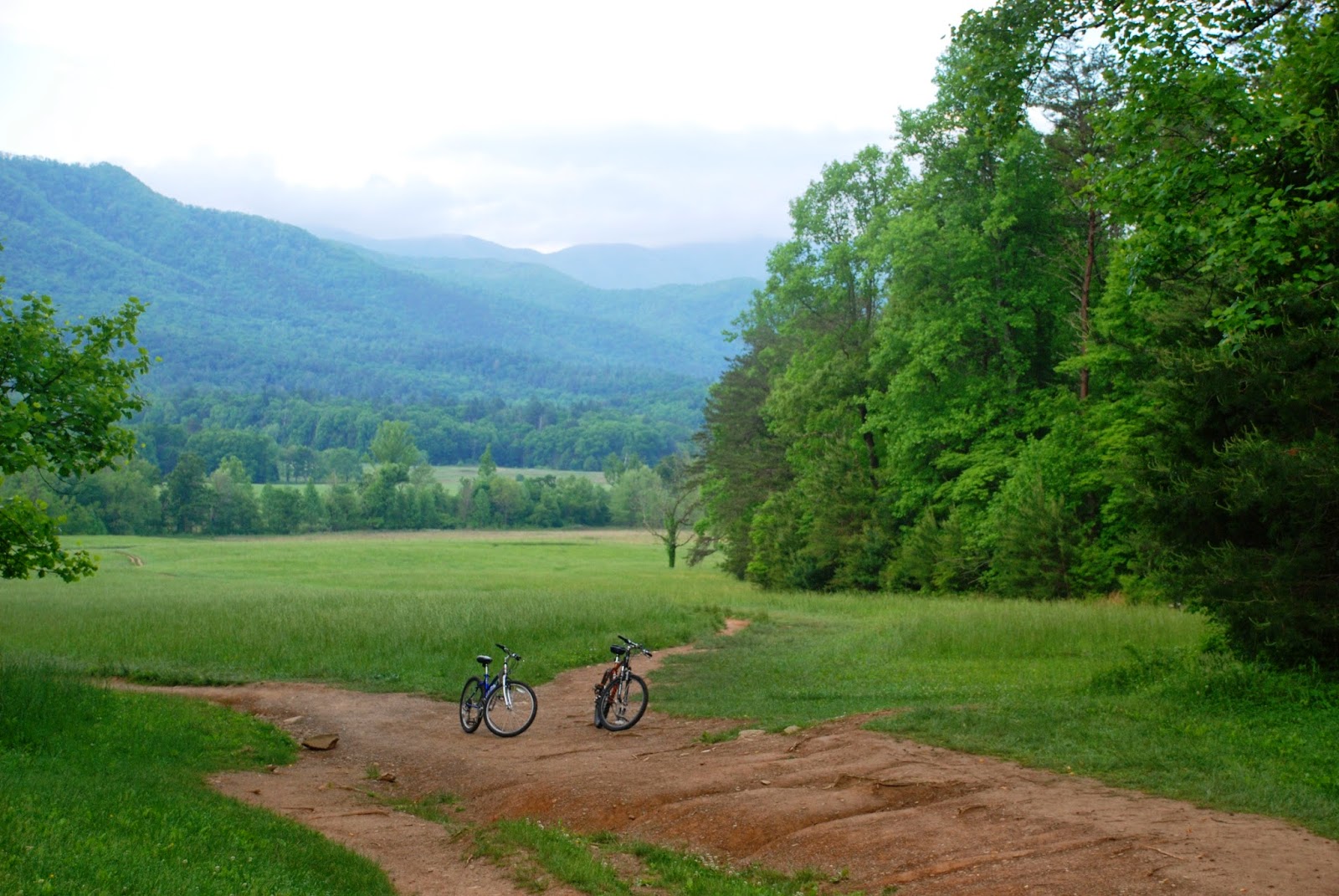 The Hiking Hokie Mount LeConte, Clingman's Dome, and Cades Cove