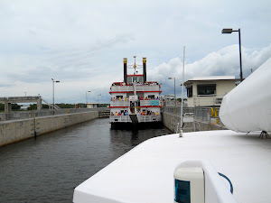 In the Franklin lock, the last on the Caloosahatchee River, with Capt. JP and 220 of his  friends.