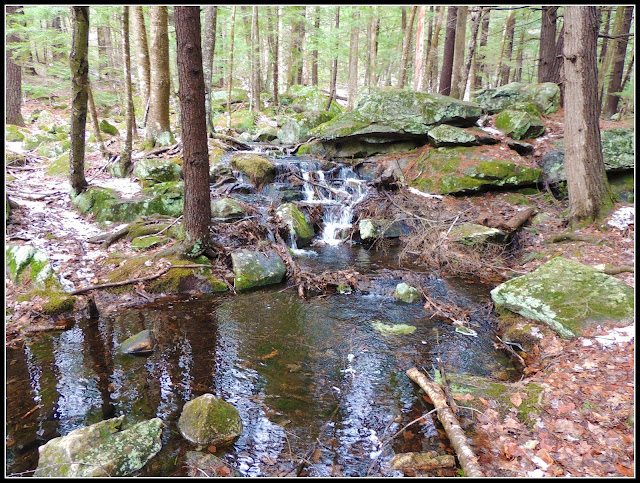 Pawtuckaway State Park en New Hampshire