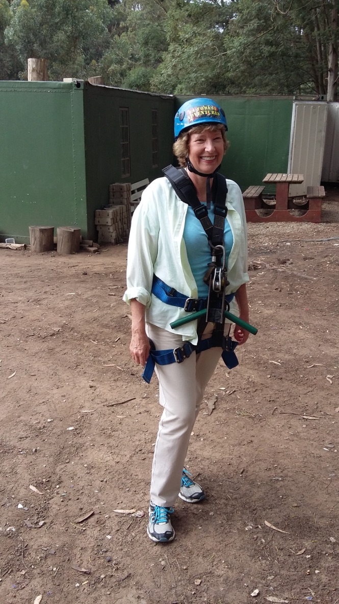 60@60: Task 4: Go zip wiring