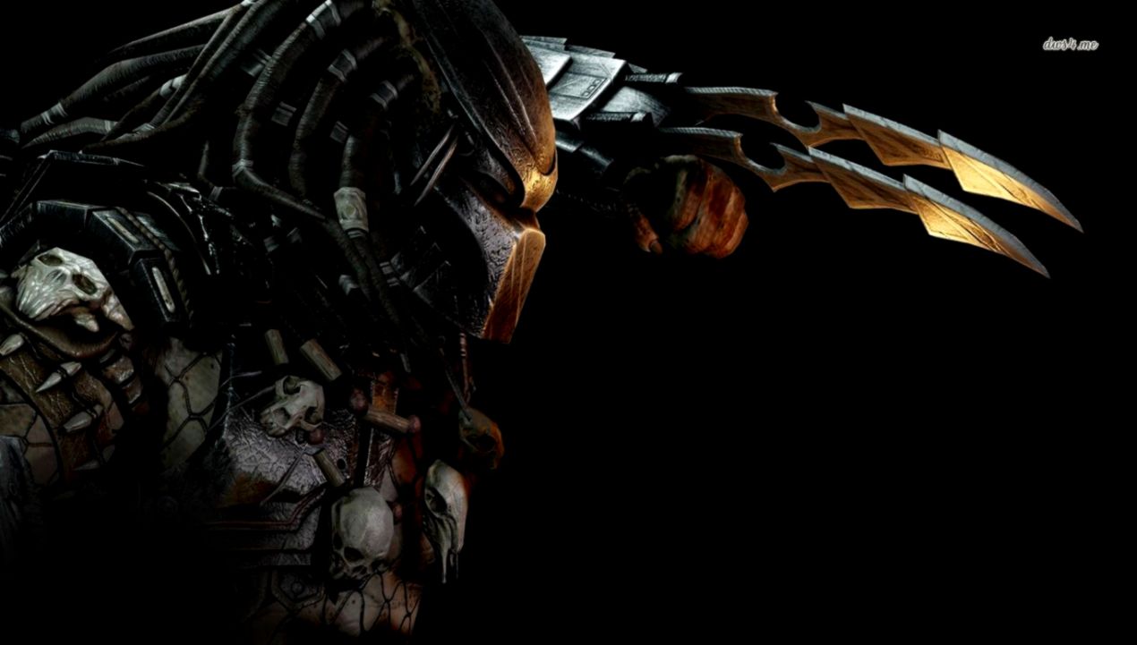 Predator wallpaper   Game wallpapers   6528