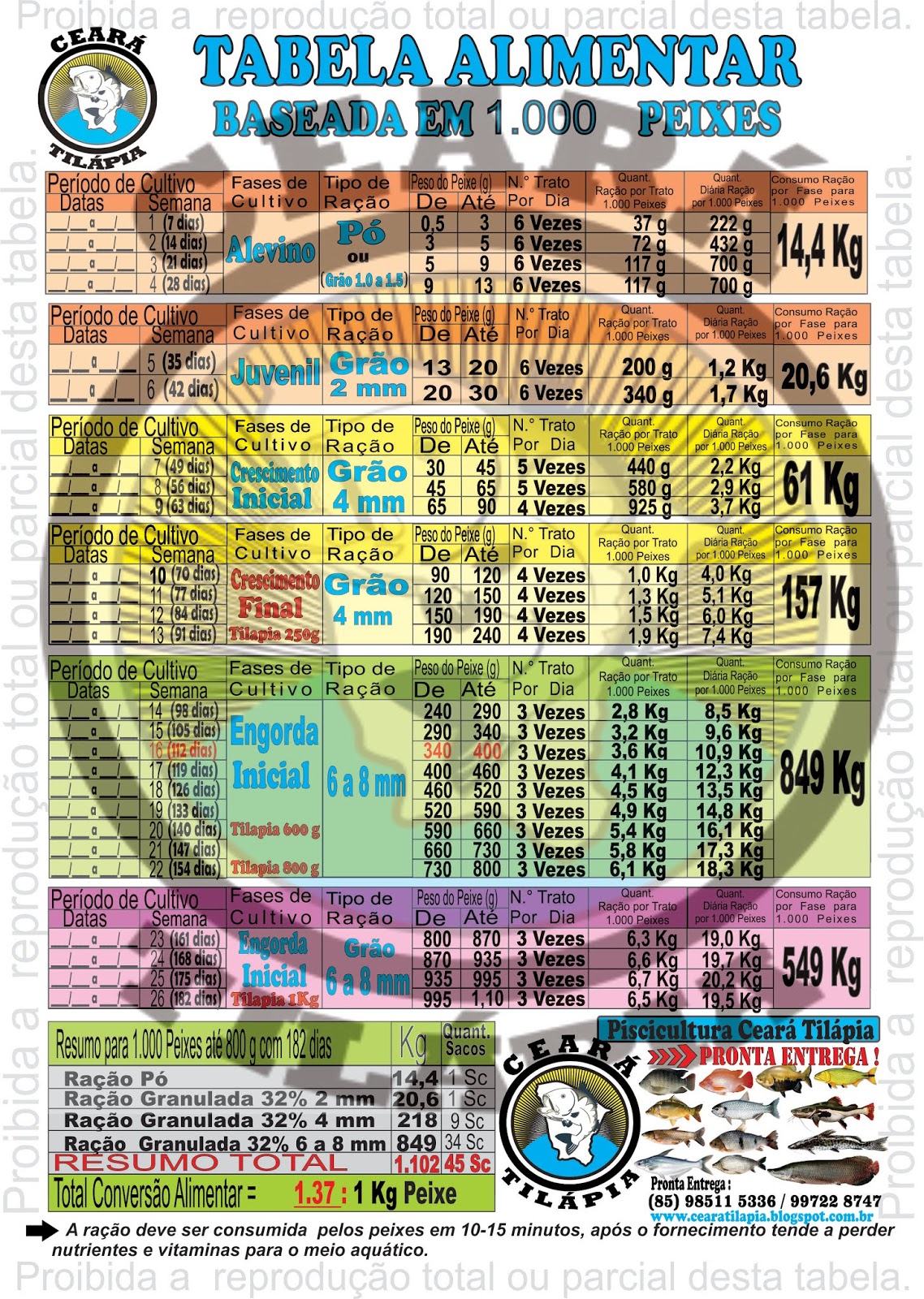 CEARÁ TILÁPIA TABELA ALIMENTAR DE TILÁPIA, TAMBAQUI OU CARPA