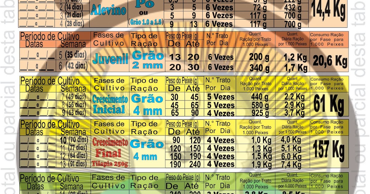 CEARÁ TILÁPIA TABELA ALIMENTAR DE TILÁPIA, TAMBAQUI OU CARPA