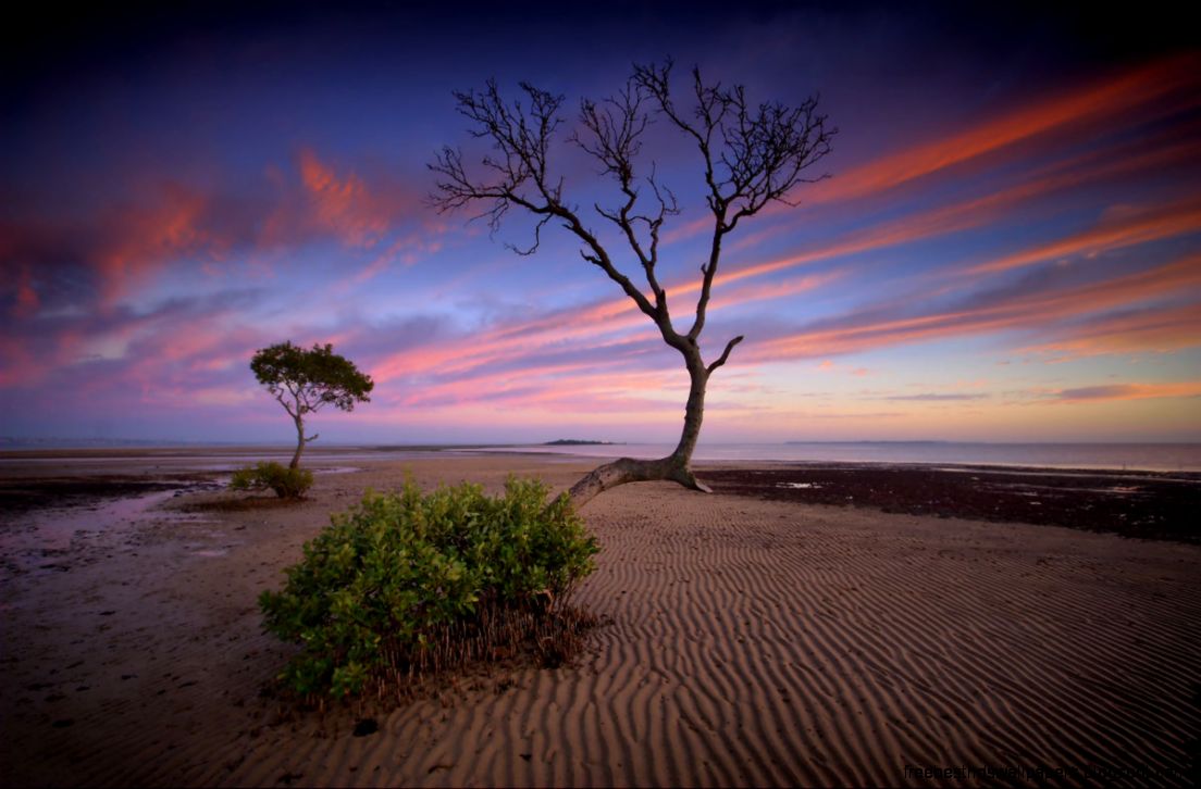 40 Beautiful Nature Photography examples for your inspiration