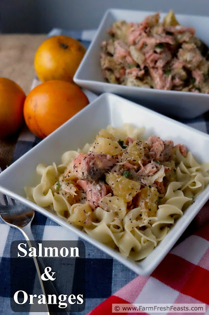 A recipe for salmon and fresh oranges in a poppy seed vinaigrette, served over hot pasta. The bright and fresh flavors of this dish lighten up the dark winter days.