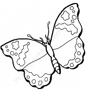 Butterfly Coloring Pages