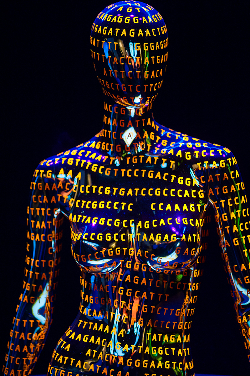 Геном человека определить. Геном человека. Проект геном человека. Генетическое строение человека. Геном человека макет.