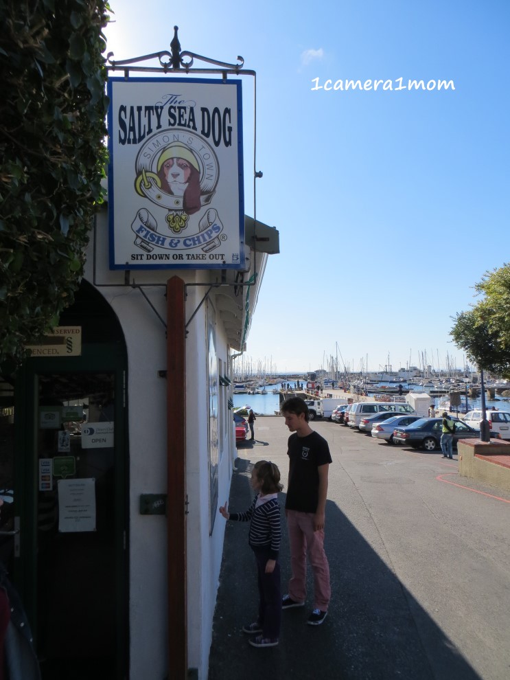 1camera1mom Simon's Town Part 2