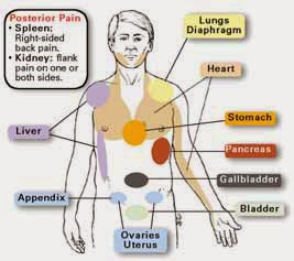 Characteristics of Different Types of Pain ~ Nursing