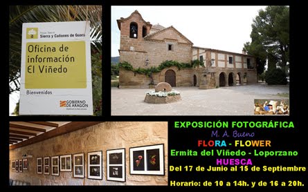 EXPOSICIÓN FOTOGRÁFICA FLORA - FLOWER - ERMITA DEL VIÑEDO - OFICINA DE INFORMACIÓN de la SIERRA DE