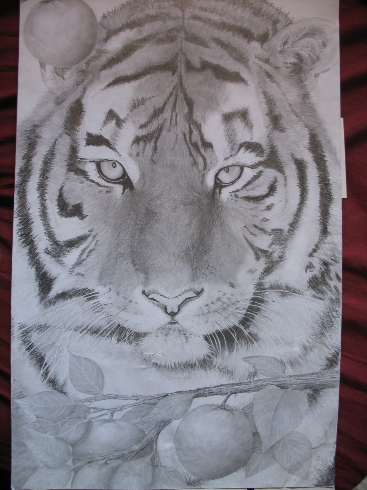 Art by Katie Nielsen Pencil Drawing Tiger