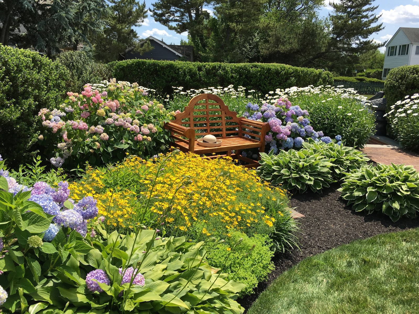 Garden bench in a beautiful home garden