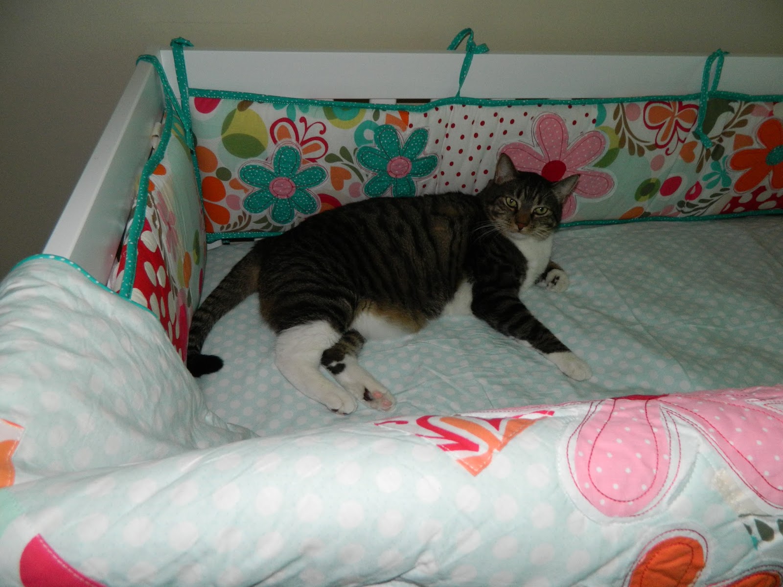 PolkaDotty Place Cat Crib