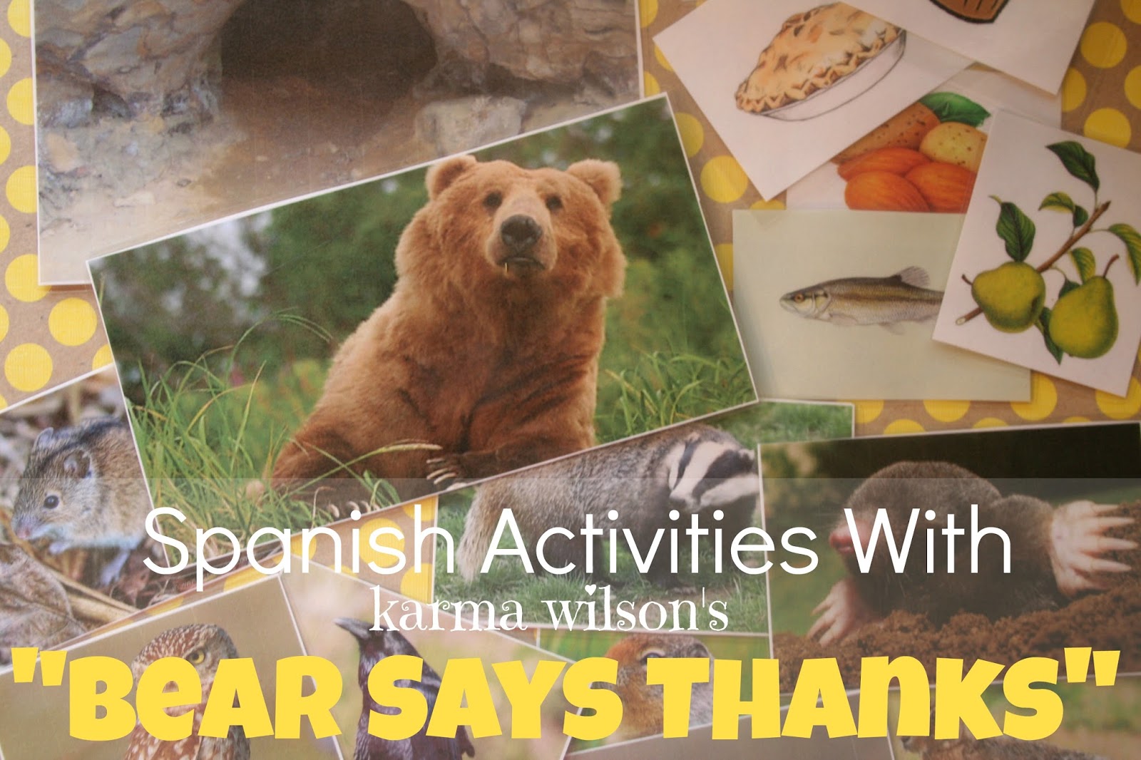 O de oso {Learning the Spanish Alphabet} For the Love of Spanish