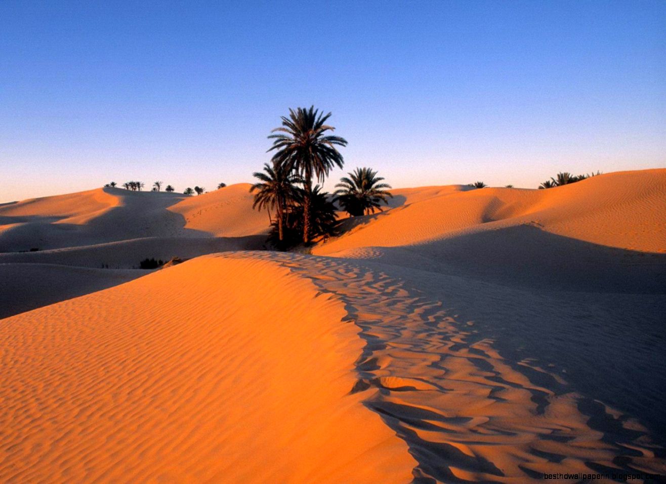 Desert White Sahara Moon Wallpaper | Best HD Wallpapers