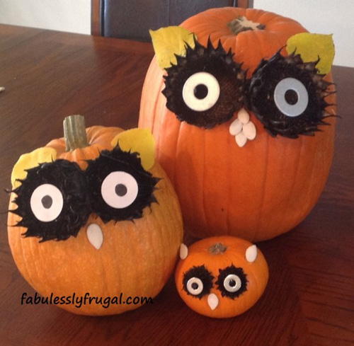 My Owl Barn: 11 No-Carve Halloween Owl Pumpkins