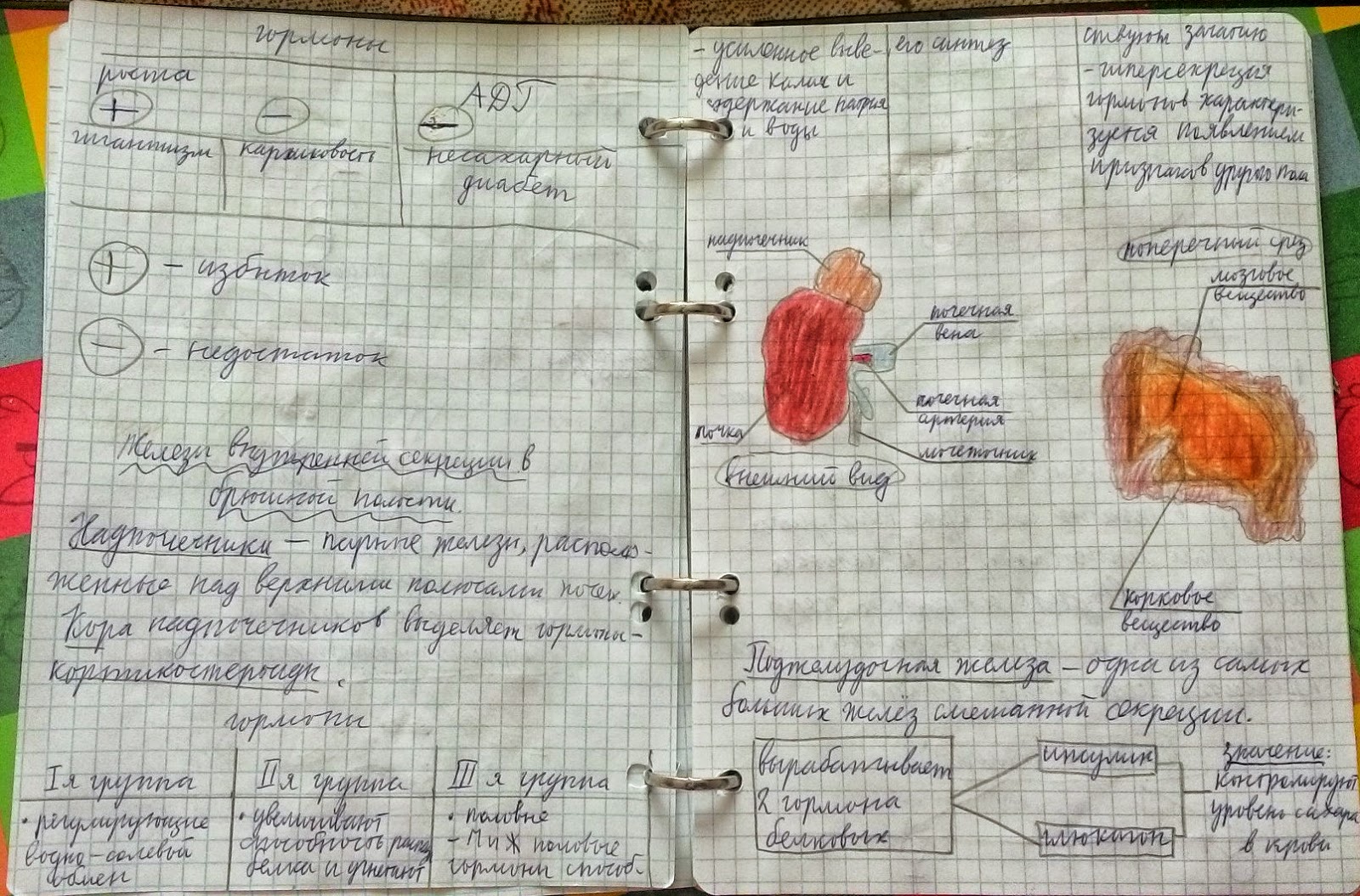 Конспекты 1 курс. Основные формулы по теоретической механике кинематика. Конспекты в медицинском институте. Конспект по бизнесу плану в тетради. Конспекты 1 курс.