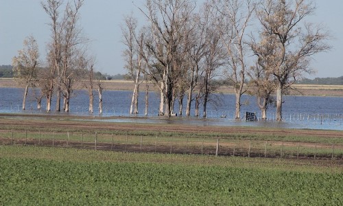 Resultado de imagen para inundaciones y napas en el sur de cordoba