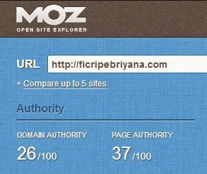 Apa Itu Domain Authority dan Page Authority