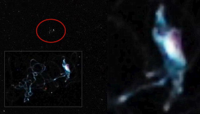 какие существа в космосе. существо способное выжить в космосе. водяной медведь тихоходка. говард лавкрафт существа азатот. туманность конь.