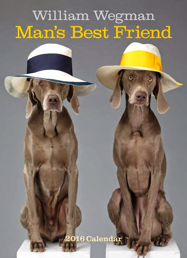 William Wegman Man's Best Friend 2016 Wall Calendar Best Calendars