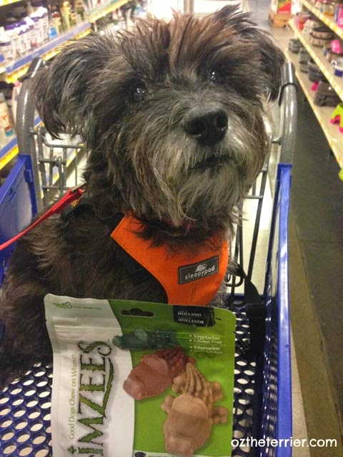 Oz the Terrier's PetSmart shopping adventure to buy dog dental treats in celebration of Pet Dental Health Month