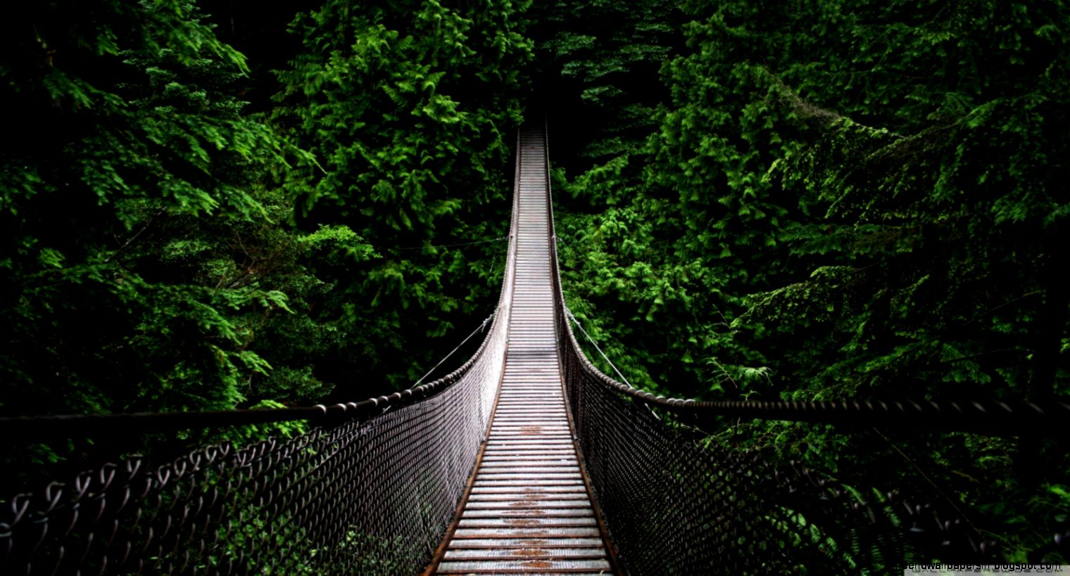 Bridge HD desktop wallpaper  Mobile  Dual Monitor