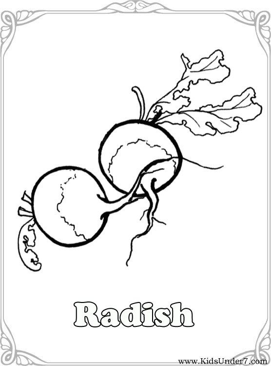 radish coloring pages - photo #11