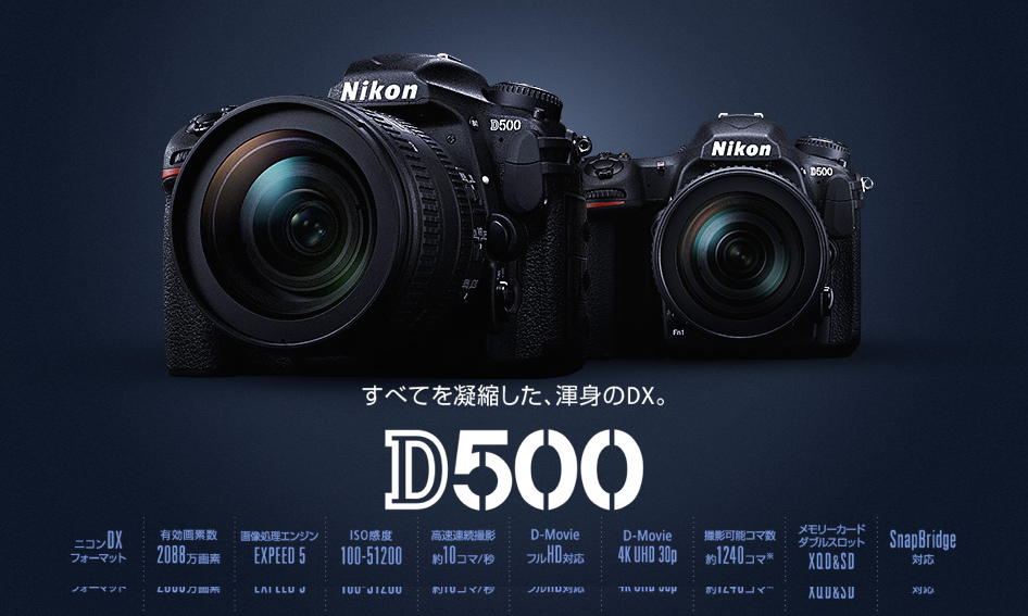 BLOG: ニコン D500 | Nikon D500