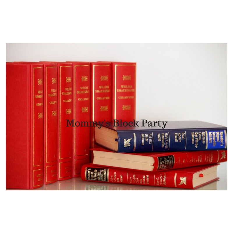 Pferde Verstehen Lernen Parelli 2 Instruktorin Silvia Aigner 2012