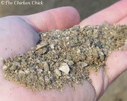 chicken coop sand litter chickens chick coops bedding run inside superstar deep method construction runs shavings pine straw choice floor