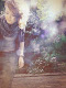 Mein Bild
