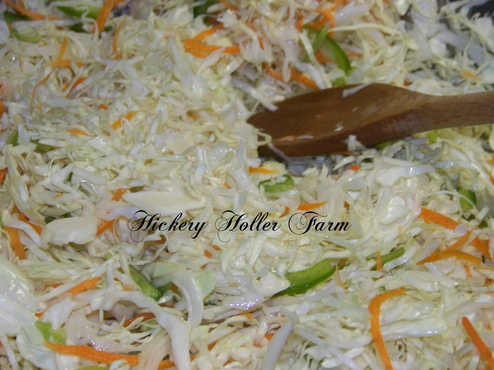 Hickery Holler Farm Freezer Slaw