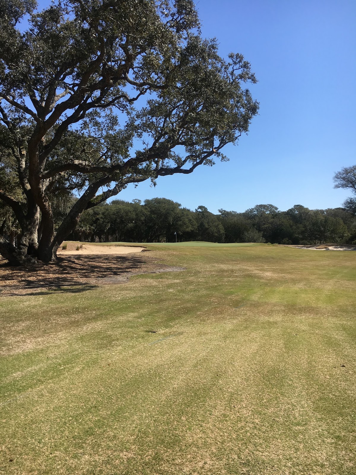 Ottawa Golf Blog Golf Course Review The Bald Head Island Golf Club