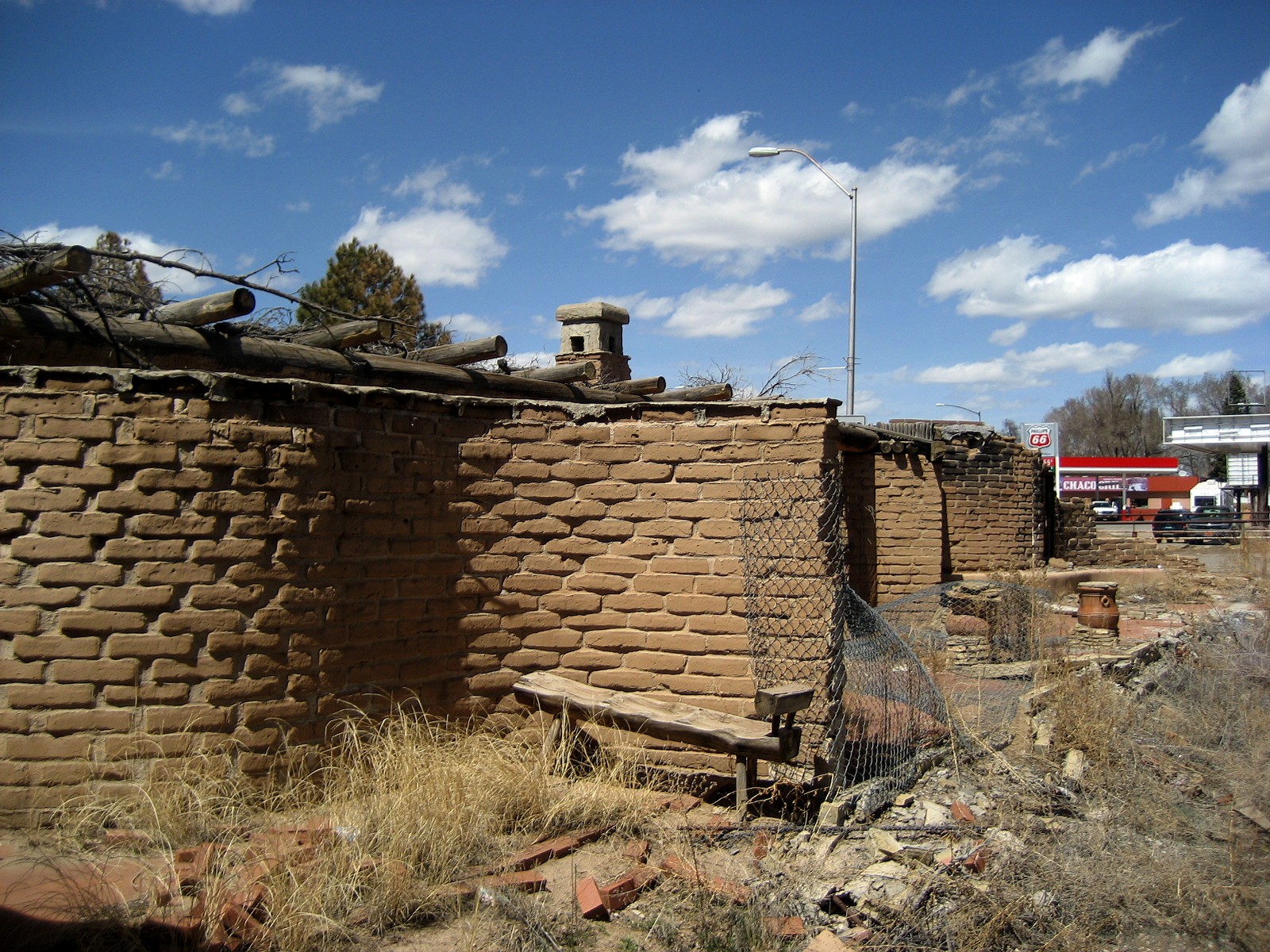 Living Rootless Cuba, New Mexico Antlers, "Bunker" Lane, and