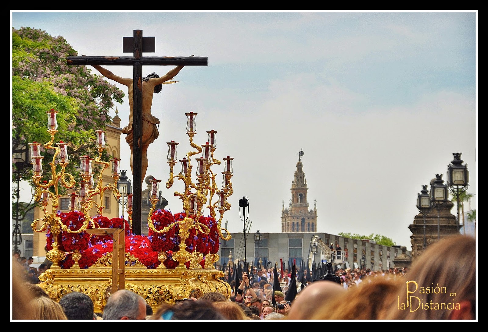 HERMANDAD DE SAN BERNARDO MIÉRCOLES SANTO 2014 SEMANA SANTA DE SEVILLA