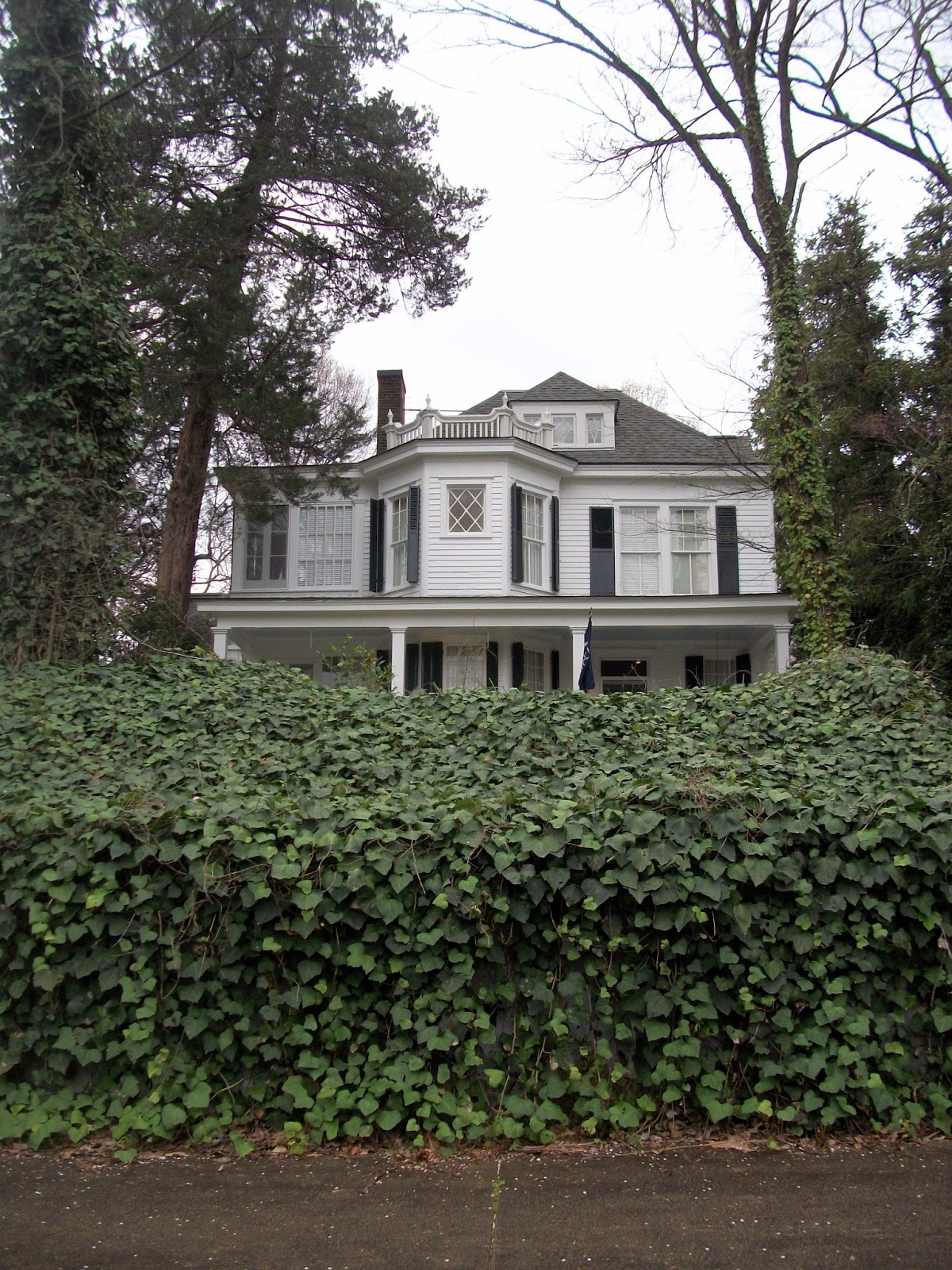 PAINT OR DIG VICKSBURG HOMES