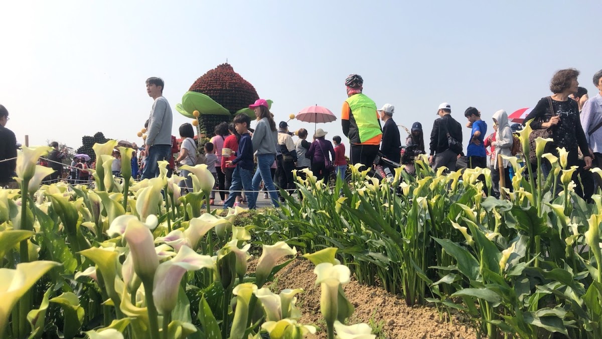 桃園市彩芋季3/10登場後,天天遊客絡繹不絕,桃園市副秘書長邱俊銘都忍不住呼籲民眾,善用平日時間去賞彩芋。 桃園市彩芋季3/10登場後,天天遊客絡繹不絕,桃園市副秘書長邱俊銘都忍不住呼籲民眾,善用平日時間去賞彩芋。